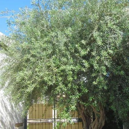 Da Sandra Holiday home *