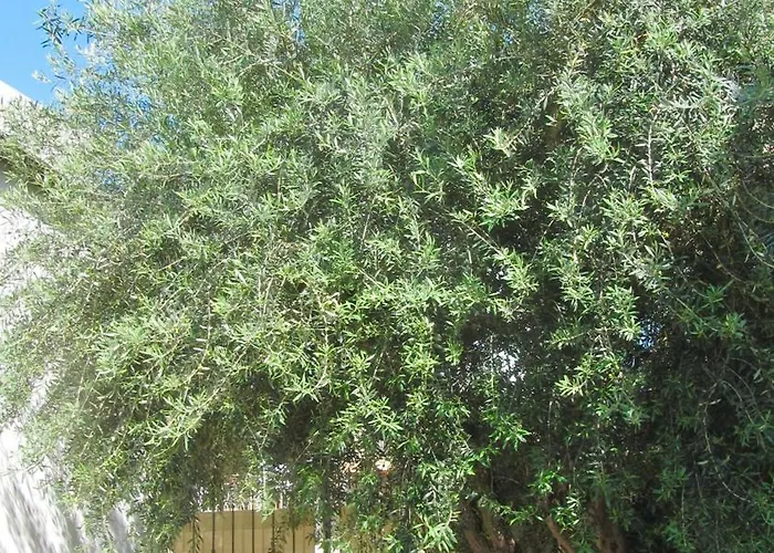 Da Sandra Holiday home *