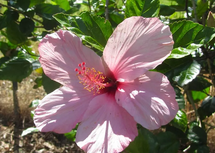 Da Sandra Дом отдыха Трабия